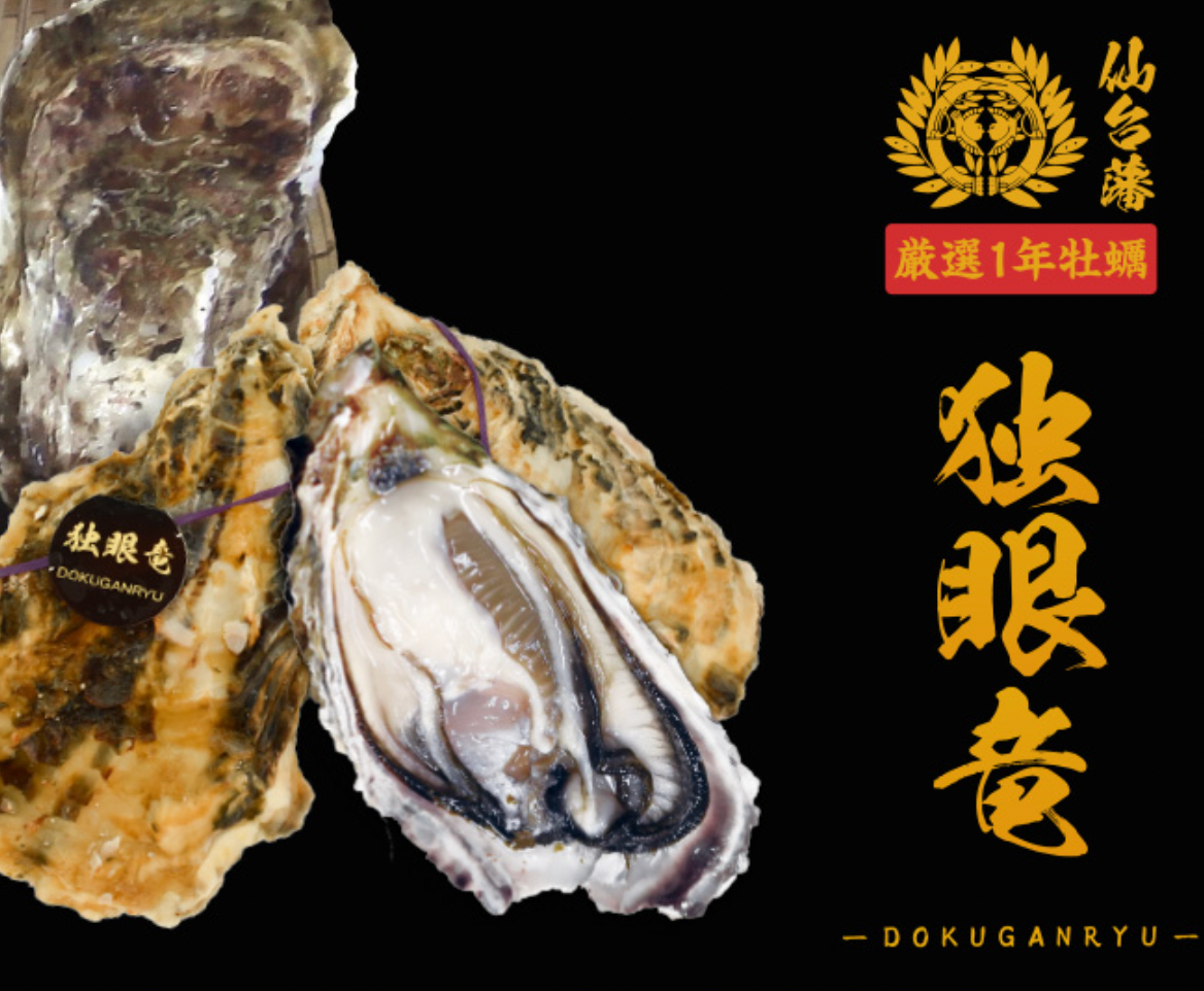 [In the off season] [Sendai Domain] Miyagi Prefecture One-eyed Dragon Oyster 